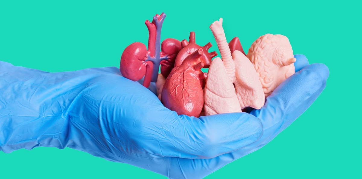 Meilleurs pays pour la transplantation d'organes&nbsp;: guide 2026 sur les coûts, les délais d'attente et les exigences légales