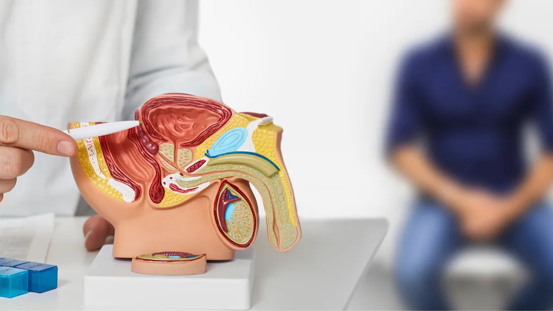 Holep vs Turp para próstata agrandada: ¿Qué procedimiento es mejor?
