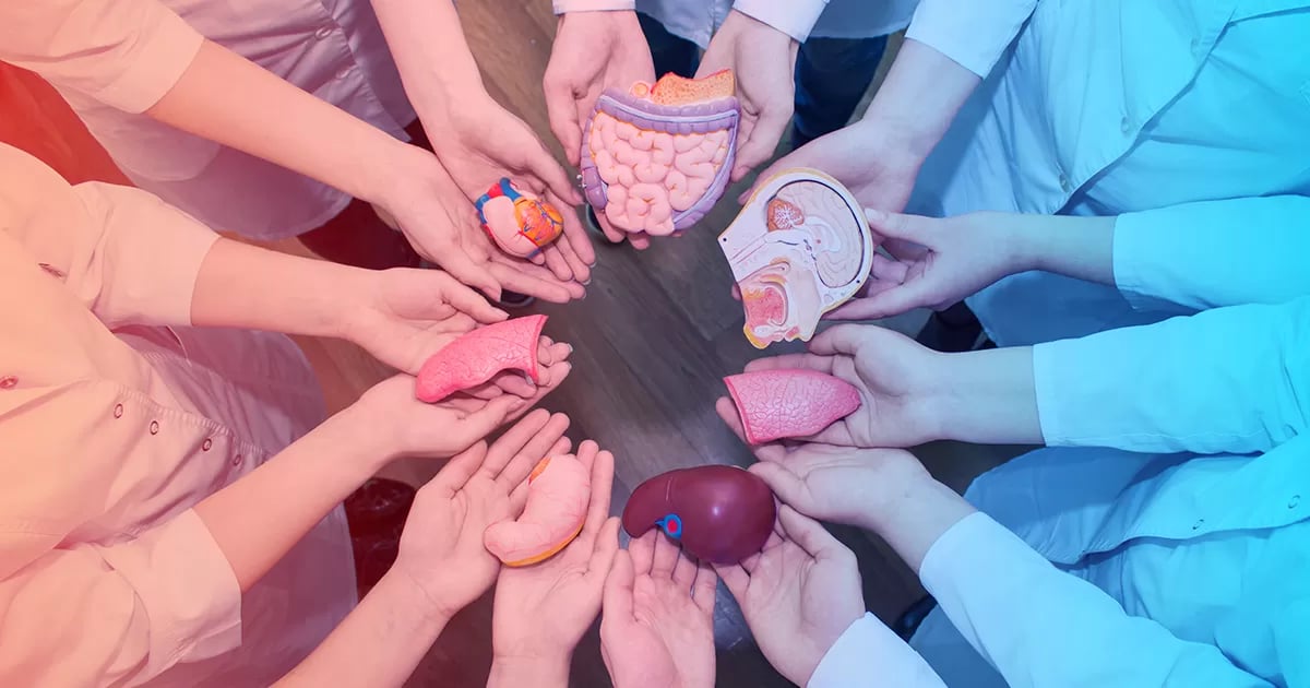 How Long Can You Live After an Organ Transplant?