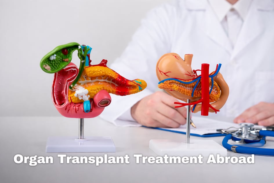 Comment se préparer à une transplantation d'organe à l'étranger&nbsp;: liste de contrôle médicale, juridique et de voyage