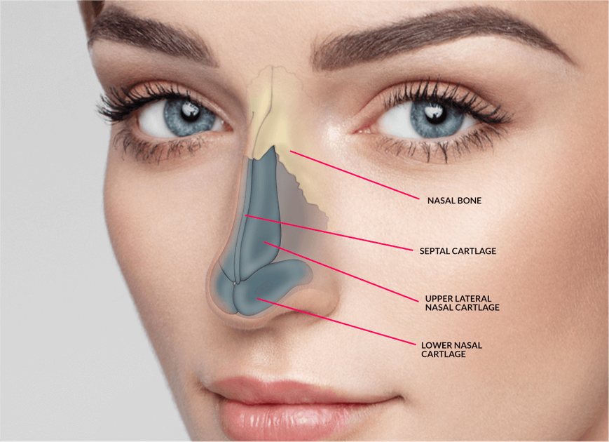 Rhinoplasty በህንድ፡ ወጪ፣ አዲስ ቴክኒኮች እና መልሶ ማግኛ