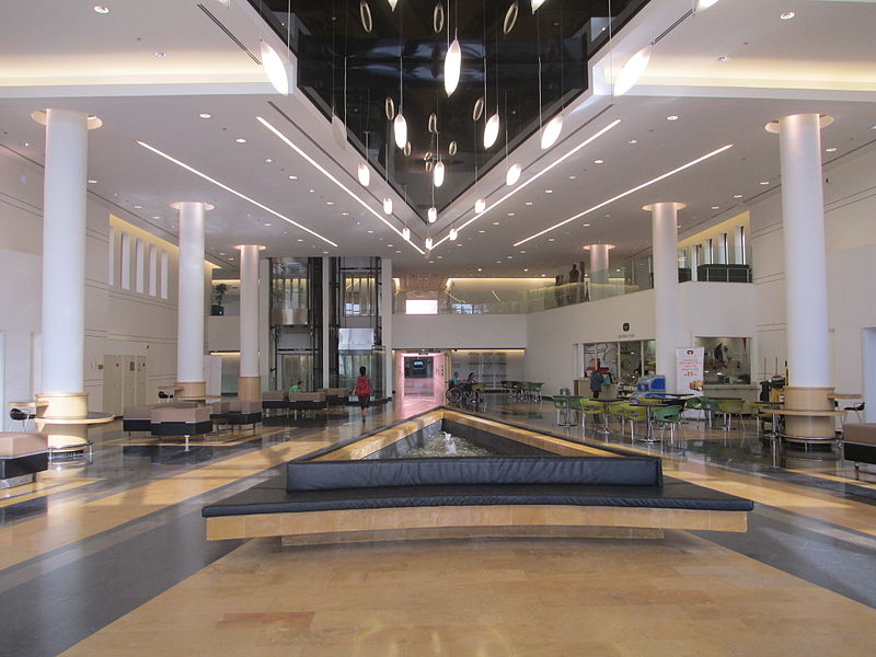 Sheba Medical Center, Israel - Image 4