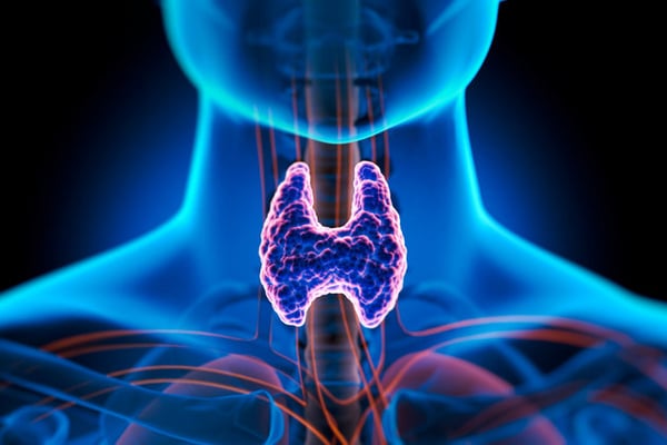 Larynx Cancer Treatment