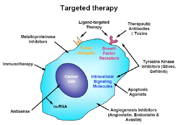 Targeted Therapy - Image 2