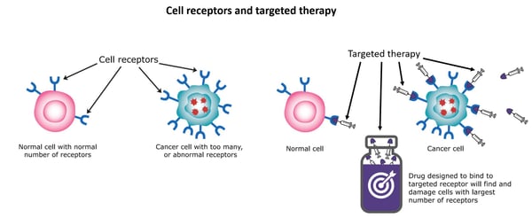 Targeted Therapy - Image 3