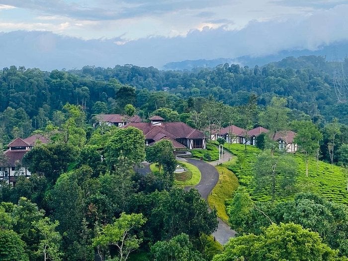 QONAQ AYURVEDA RESORT - WAYANAD - Image 4