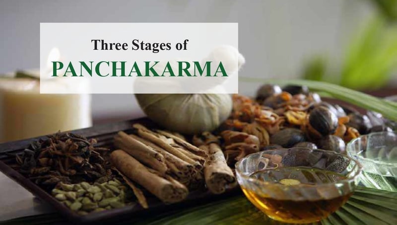 BODY PURIFICATION / DETOX (PANCHKARMA) - Image 2