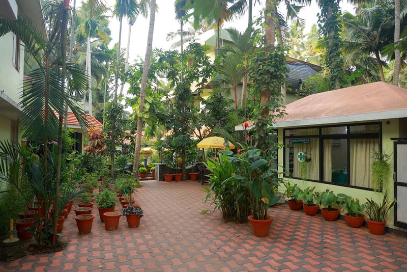 QONAQ আয়ুর্বেদিক রিসোর্ট এবং পঞ্চকর্ম কেন্দ্র - Image 4